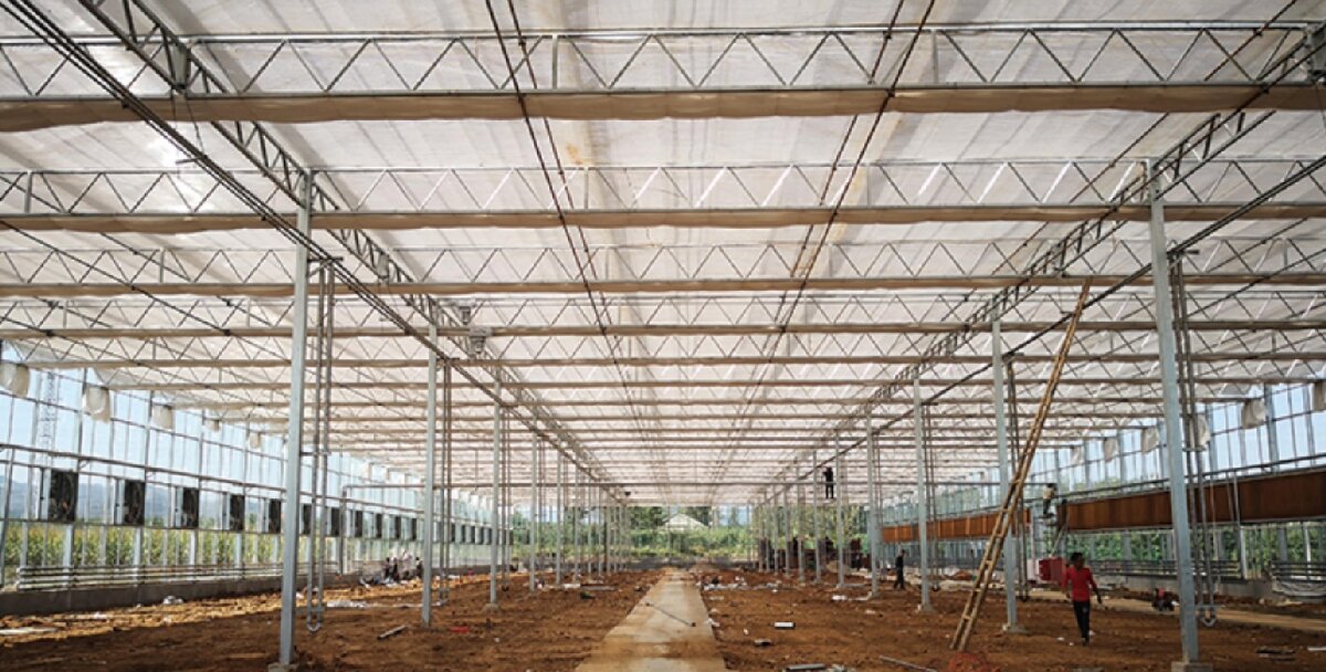 信橋鋼構(gòu)：打卡蒙陰農(nóng)業(yè)溫室大棚、青州黑牛養(yǎng)殖基地！(圖3)