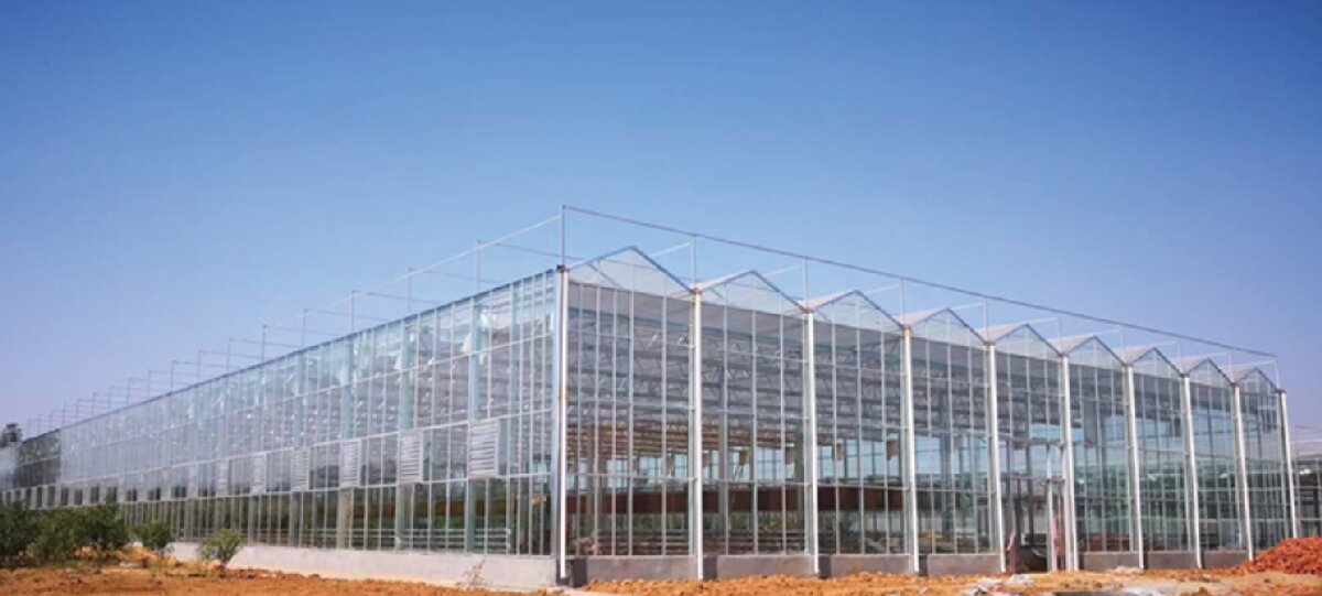 信橋鋼構(gòu)：打卡蒙陰農(nóng)業(yè)溫室大棚、青州黑牛養(yǎng)殖基地！(圖2)